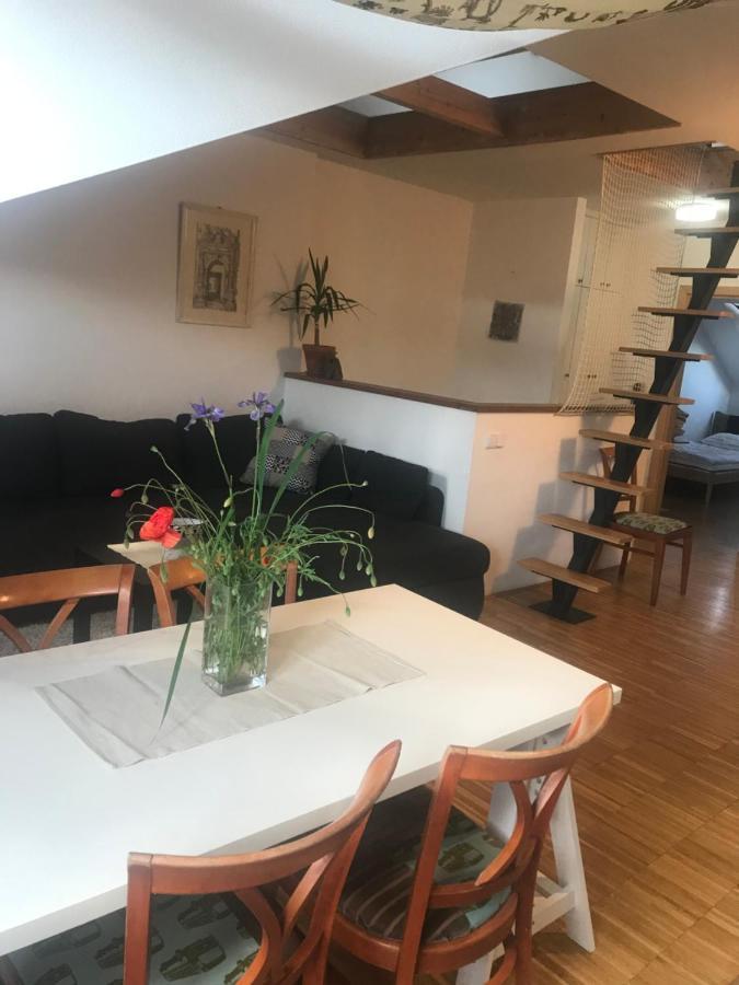 Apartman Slovinska 28 Brno Ngoại thất bức ảnh