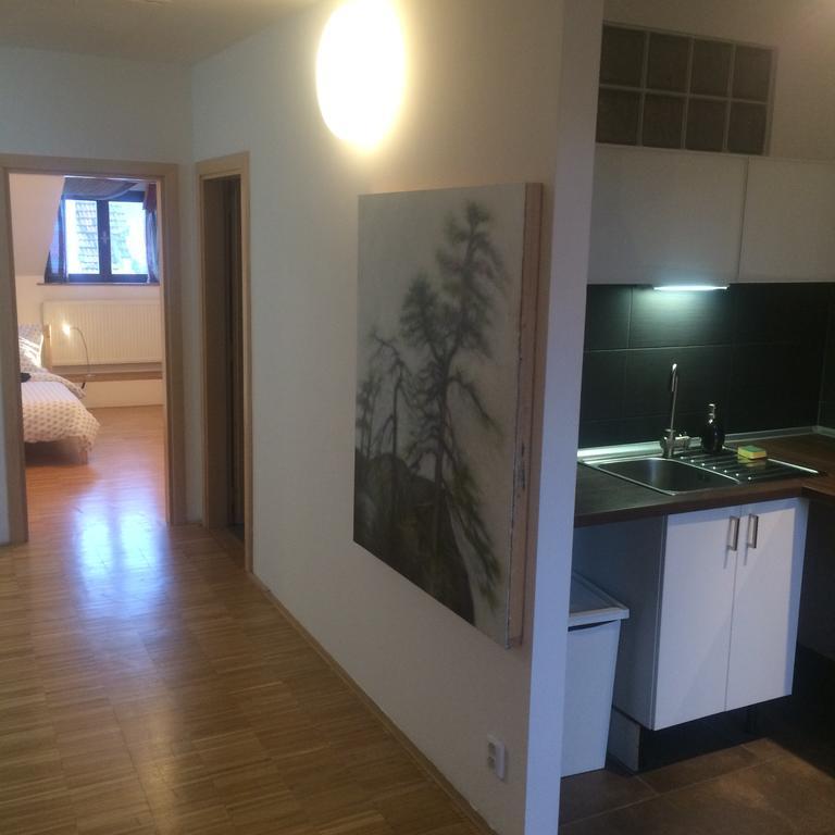 Apartman Slovinska 28 Brno Ngoại thất bức ảnh